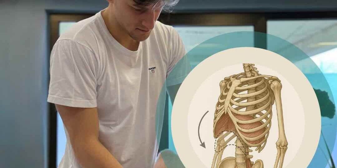 TREBUŠNA PREPONA - 1