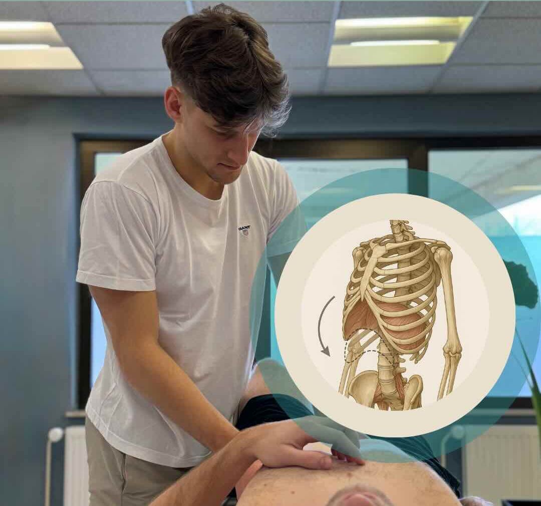 TREBUŠNA PREPONA - 1